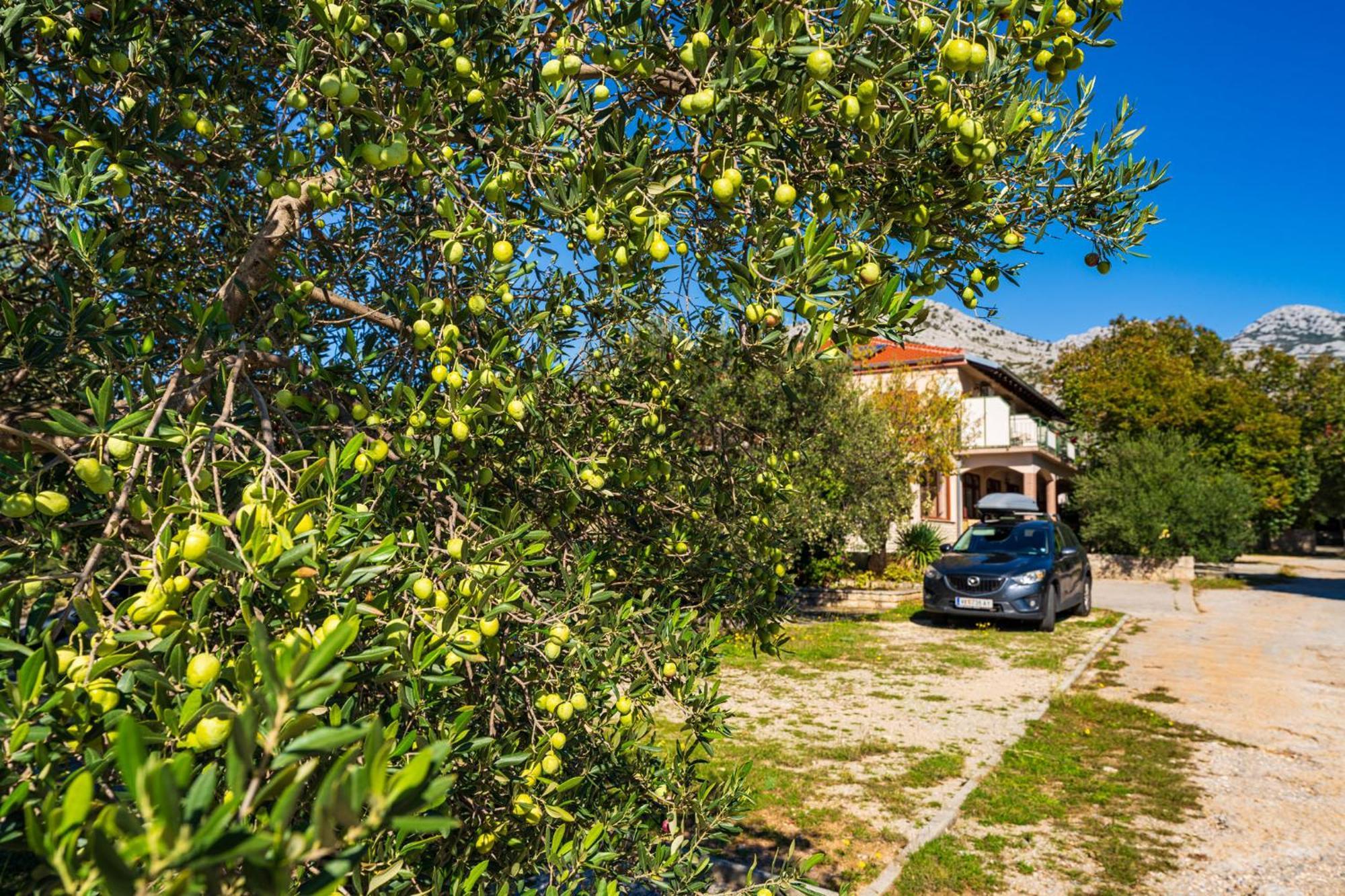 Apartments Adriana Starigrad Paklenica Zewnętrze zdjęcie